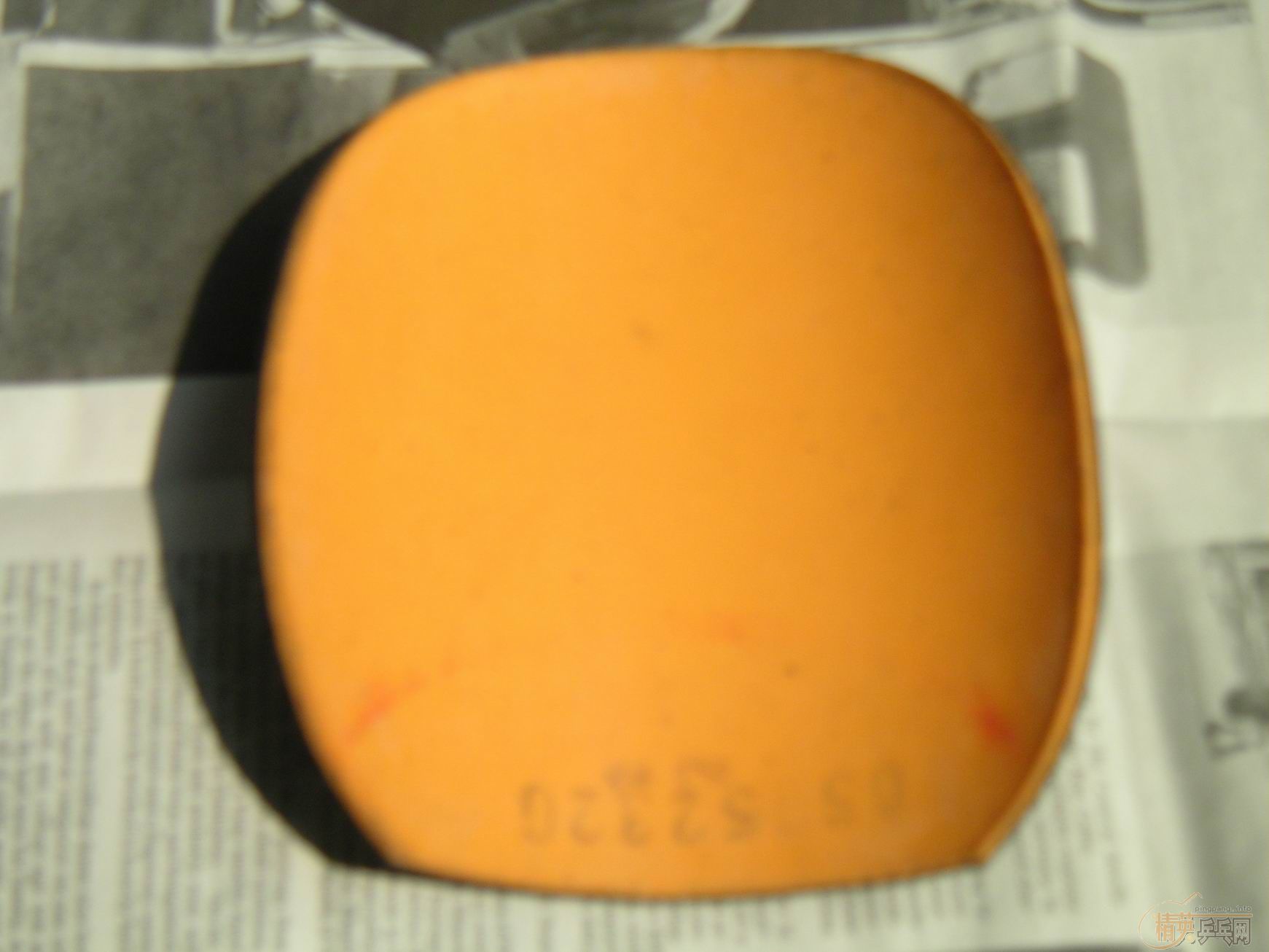 ת��SITGA OC FL 82�� ������280�����