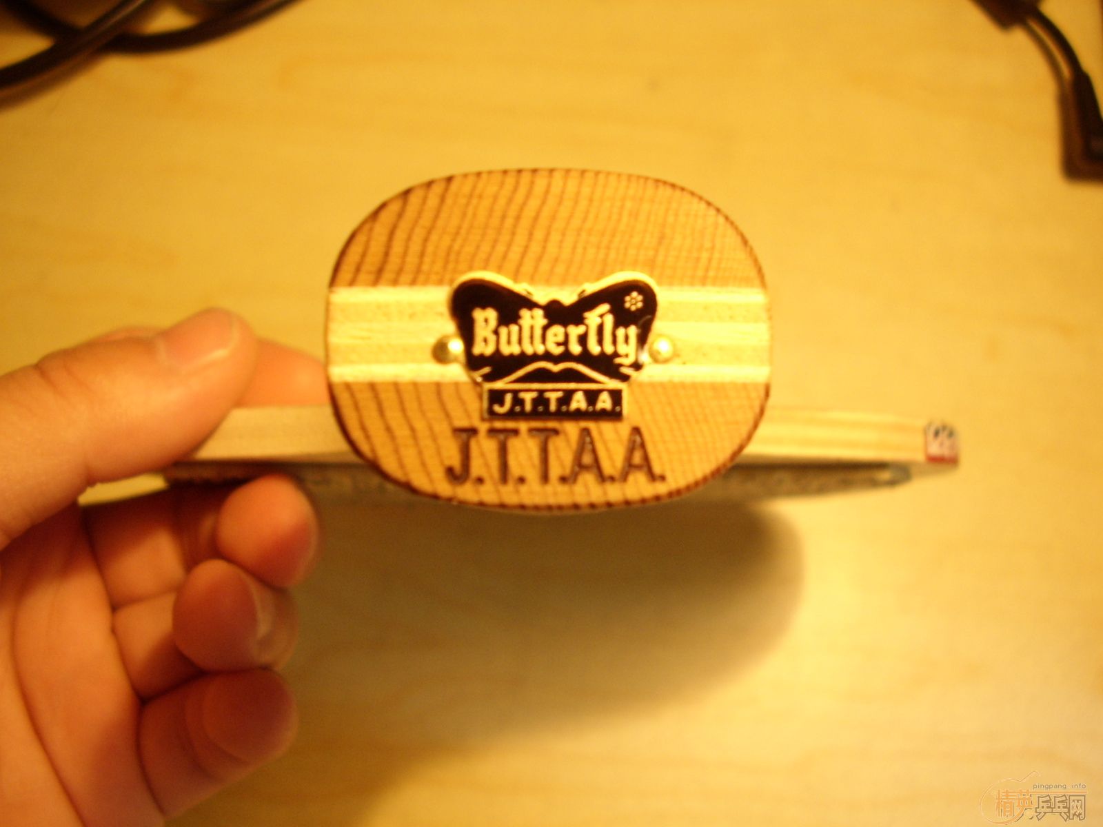 �����¾� ����ȫ�� 240��