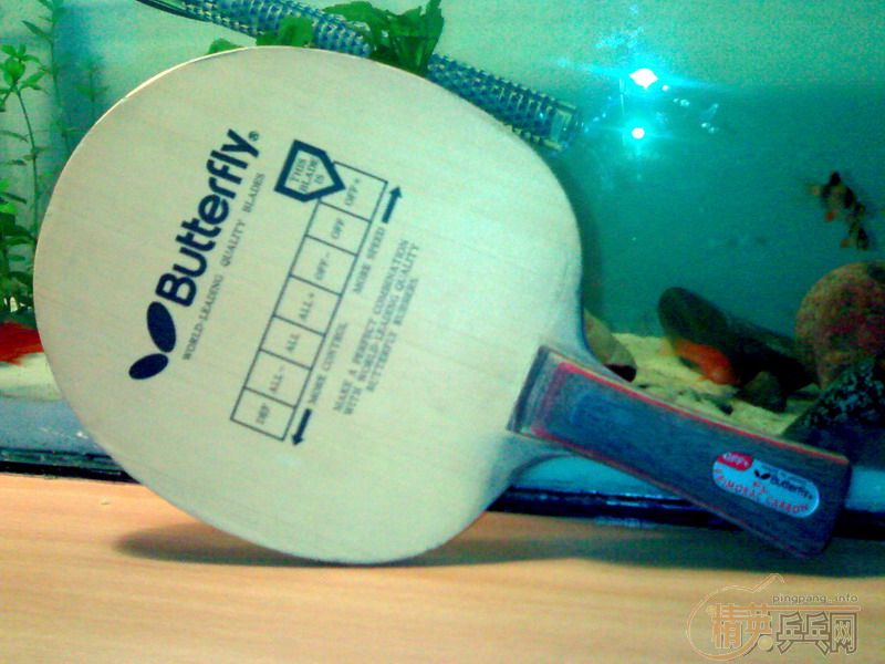 [ԭ��]������̼ת��