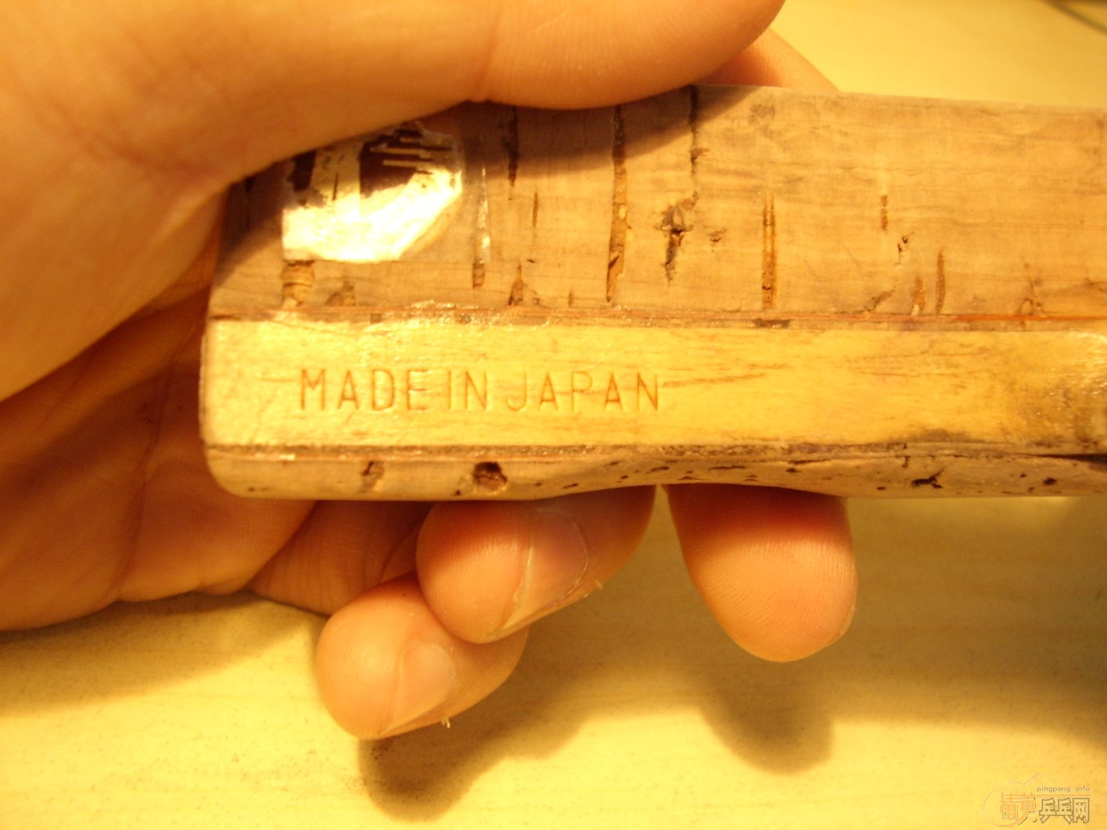 �˿����� ��KOKUTAKU ��D50������ֱ 300��