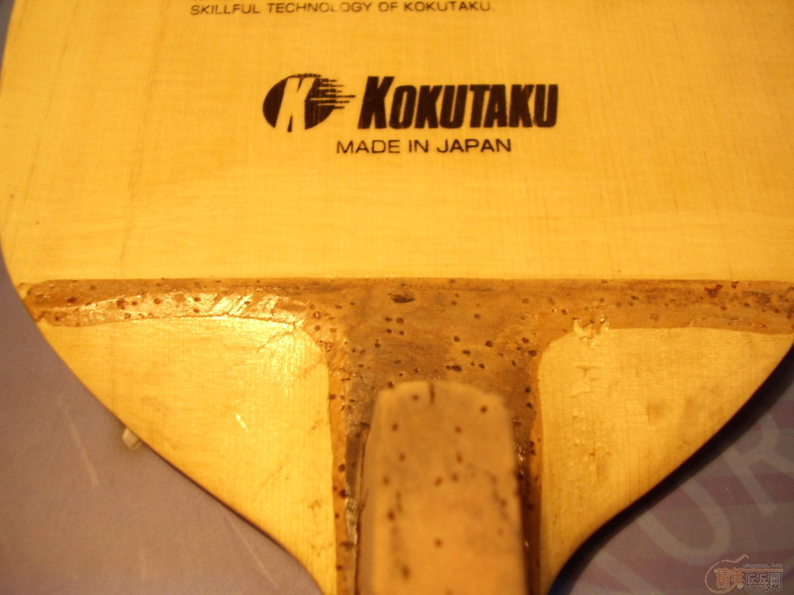 �˿����� ��KOKUTAKU ��D50������ֱ 300��