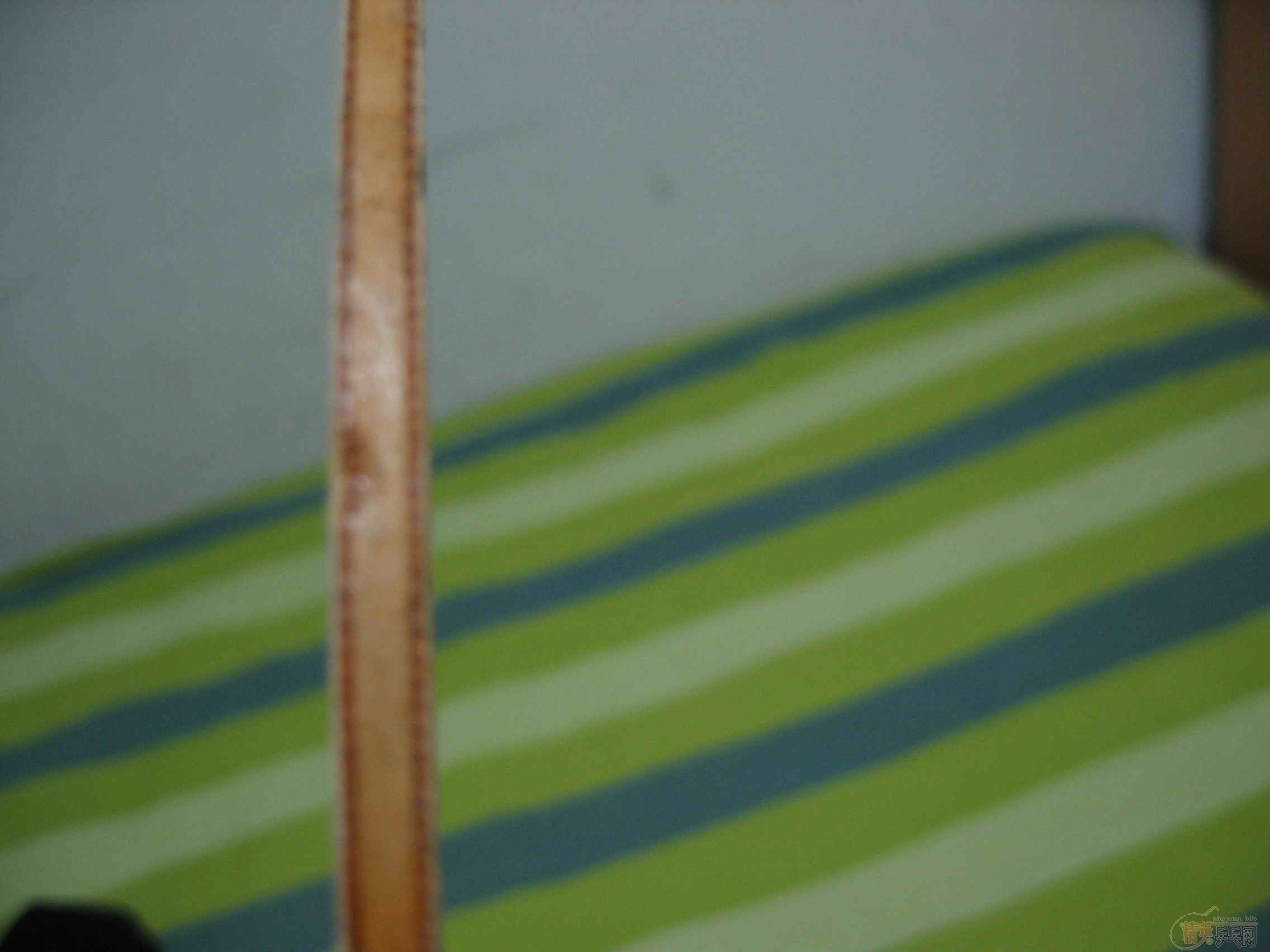 ӣľ-AN  YE3D-ST
