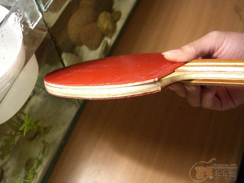 �ͼ۳��۶��ֺ���-���