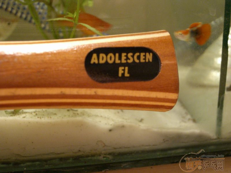 �ͼ۳��۶��ֺ���-���