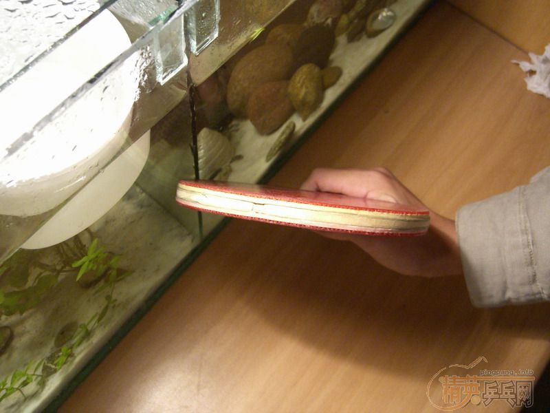 �ͼ۳��۶��ֺ���-���