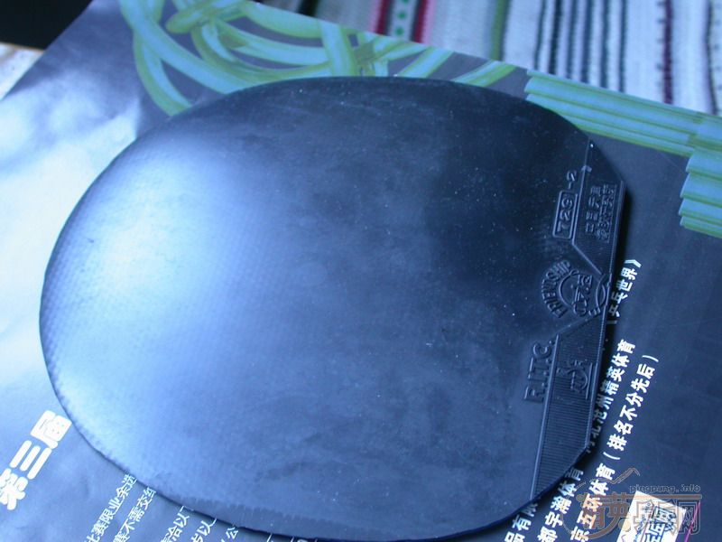 ��2004�װ壬CJ8000C�׽�����Ǯ����