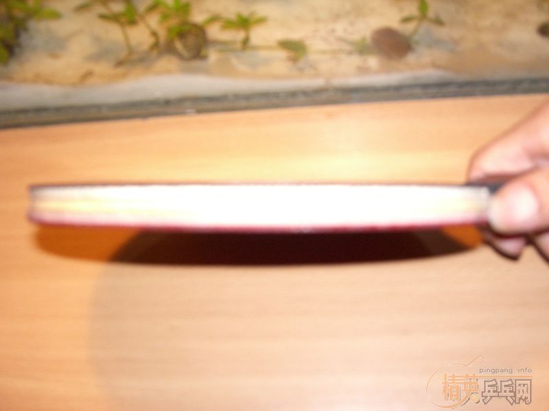 ���ֶ���˹�ۿ��ϣã��ãң��ףң�