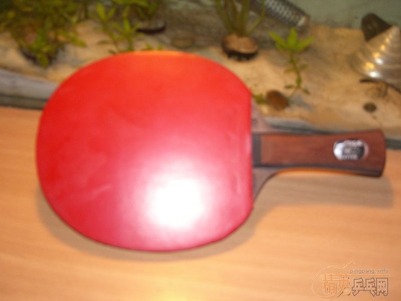 ���ֶ���˹�ۿ��ϣã��ãң��ףң�