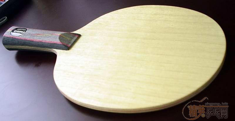 300�������9����YASAKA-YO2���һ�飡