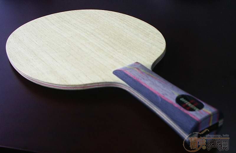 300�������9����YASAKA-YO2���һ�飡