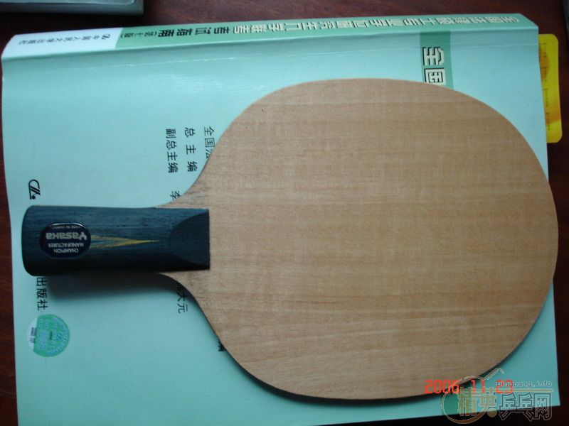 ��ye��9���ھ�Ӣ���ã�300���ʣ�