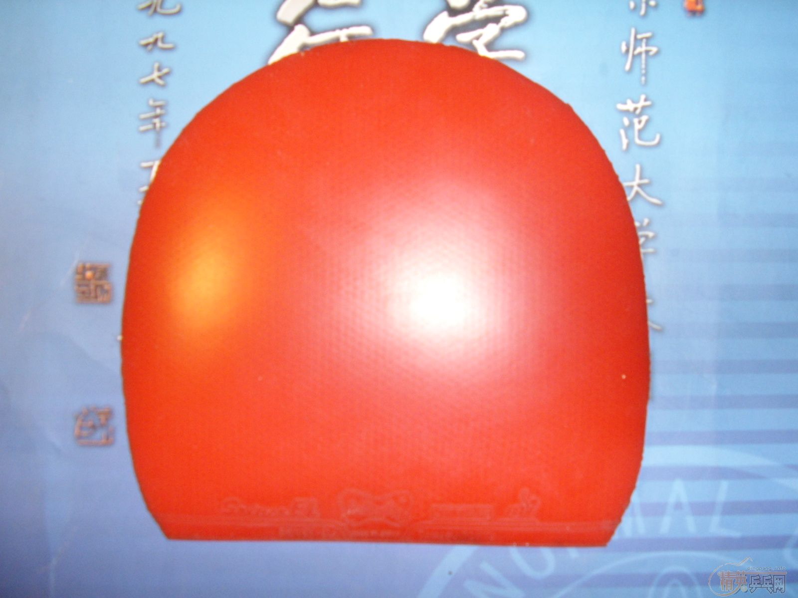 ����SRIVER EL�׽� �ų��º�ɫ 80�� ����ͨ