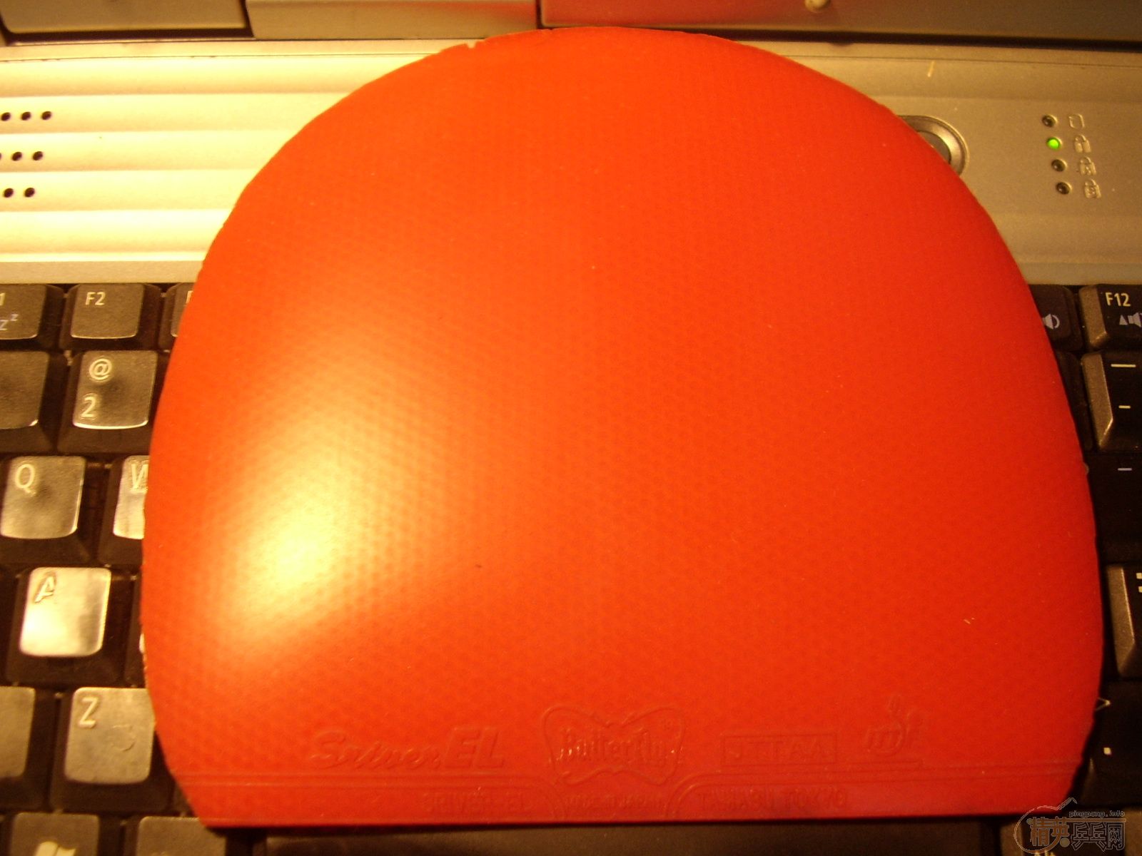 �������SRIVER EL�׽� �ų��º�ɫ 75�� ���Ե׼�