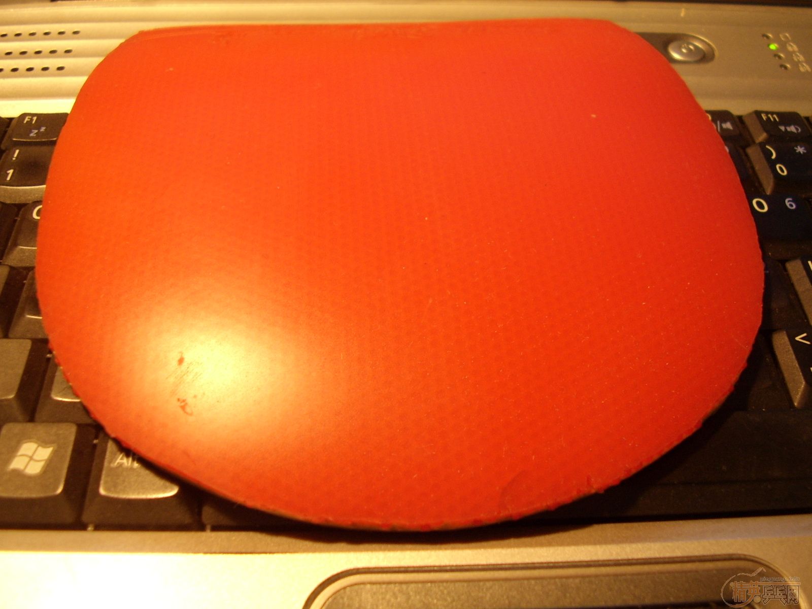 �������SRIVER EL�׽� �ų��º�ɫ 75�� ���Ե׼�