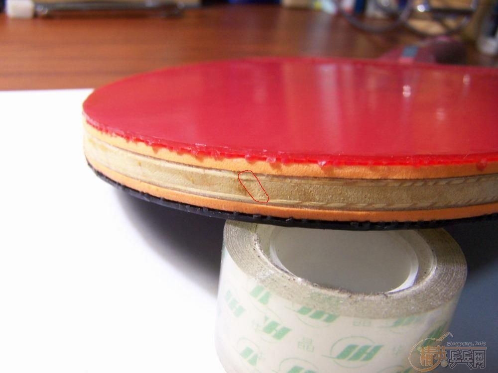 <֧����>��9.5����DONIC-XUSHAOFA�װ壨ST������ͬ���ࡢ��Ƭһ��