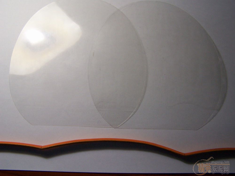 <֧����>��9.5����DONIC-XUSHAOFA�װ壨ST������ͬ���ࡢ��Ƭһ��