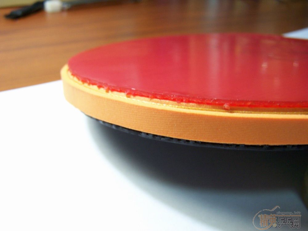 <֧����>��9.5����DONIC-XUSHAOFA�װ壨ST������ͬ���ࡢ��Ƭһ��