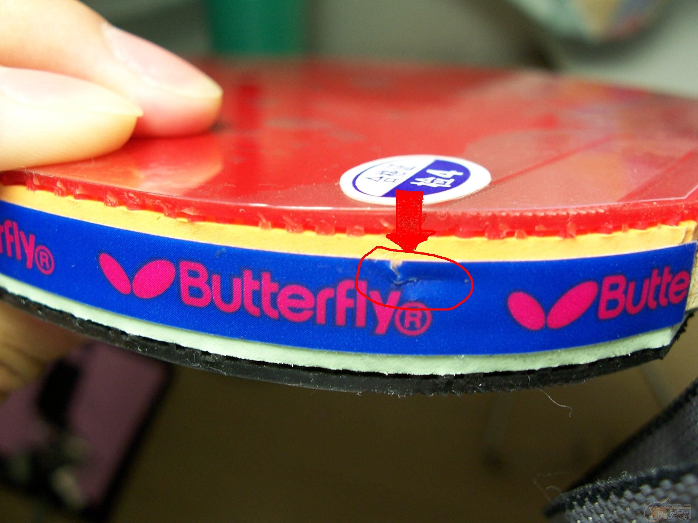 ����DONIC BLACK POWER.����1����.����2��.���׽�����320Ԫ���߻���....