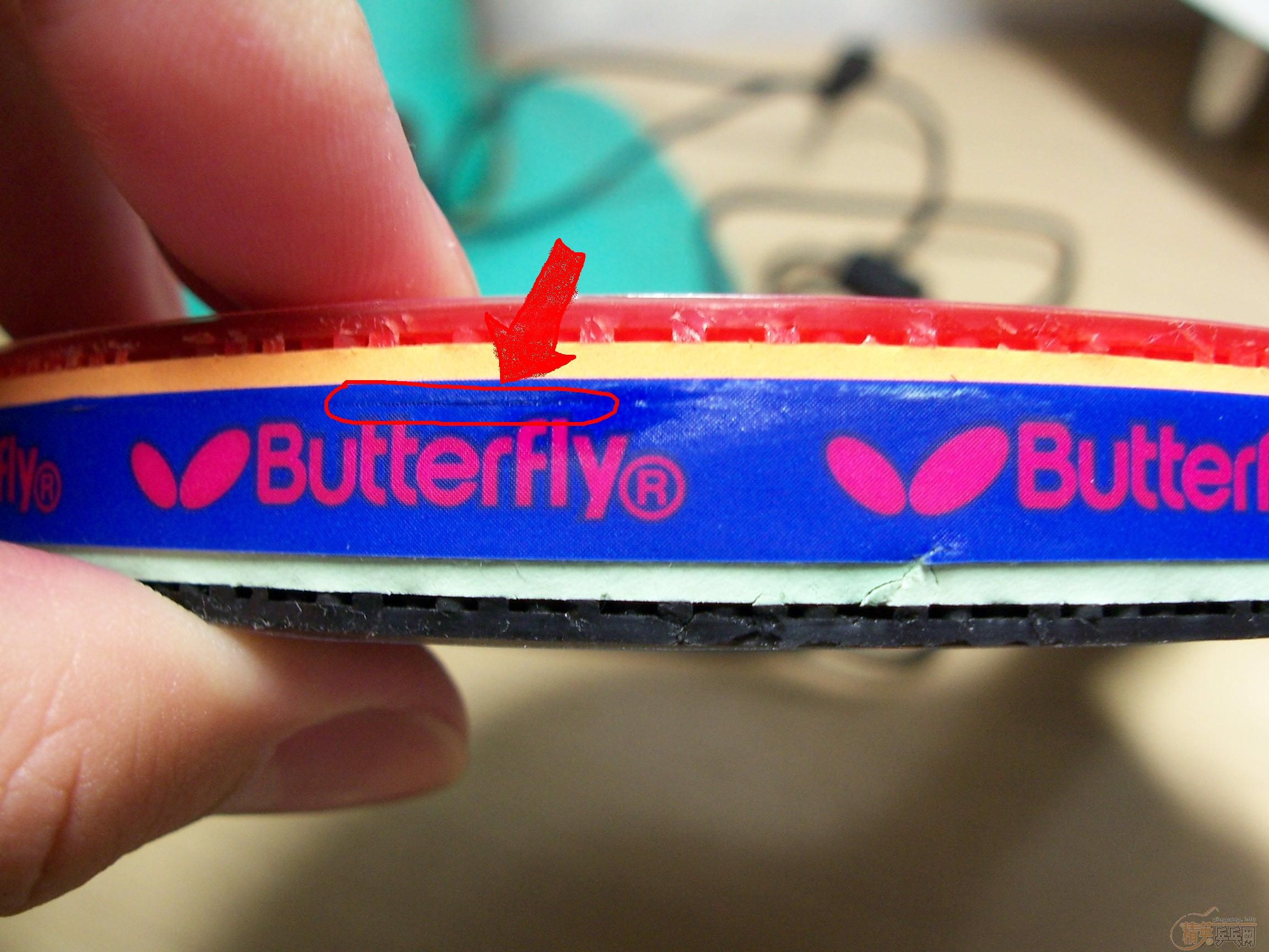 ����DONIC BLACK POWER.����1����.����2��.���׽�����320Ԫ���߻���....