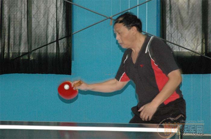 [��ͼ]11��5�վ�Ӣ�������ֲ���һ�ڡ���˹�ر���������ʵ