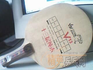 ֧��������!��ά��ľV13�����˳���!!!