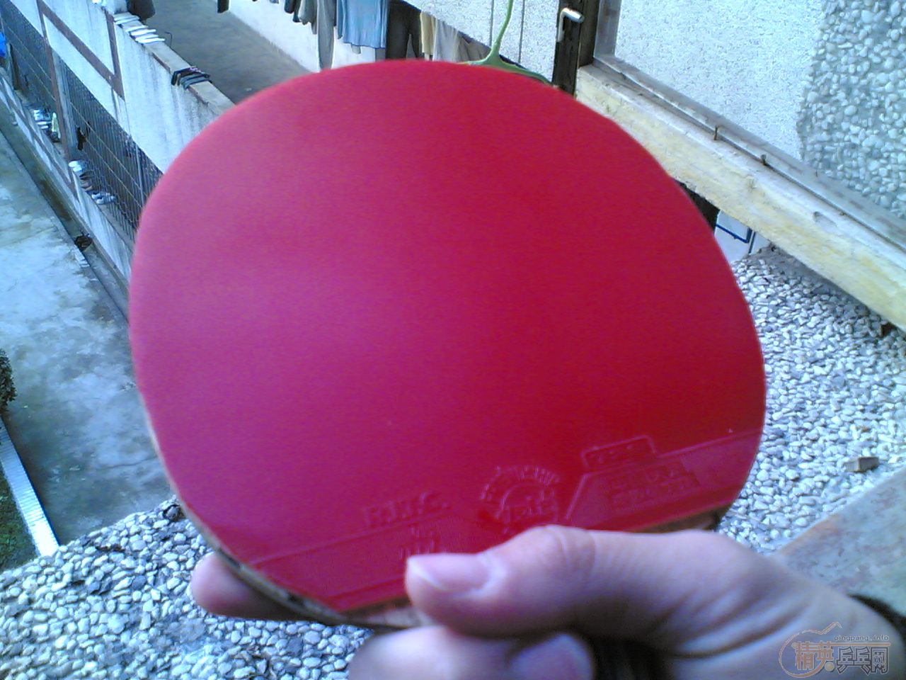 9.8   л˹ۿEG    300ģ