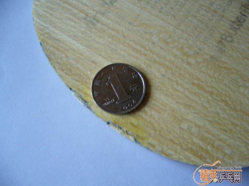 ���˳���,8��������VIS 395��.