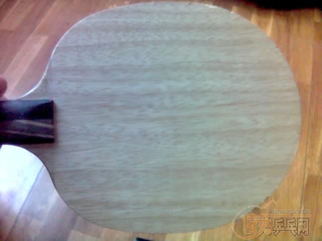 ����TO��yo����������ѽ�������