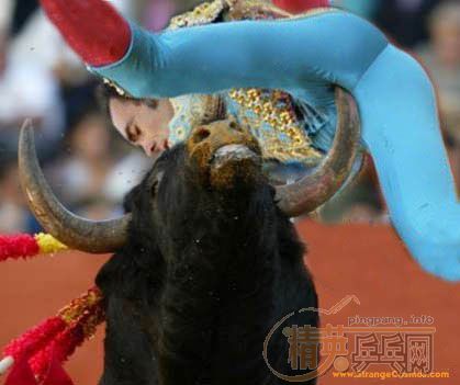 [����]�������ѷ����ҵ�һ��õ�Ƭ