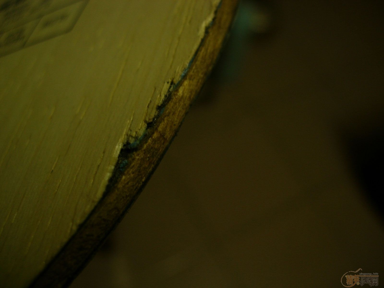 [ע��]���������ڰ��������st��boii�۸����Ѫ��450������