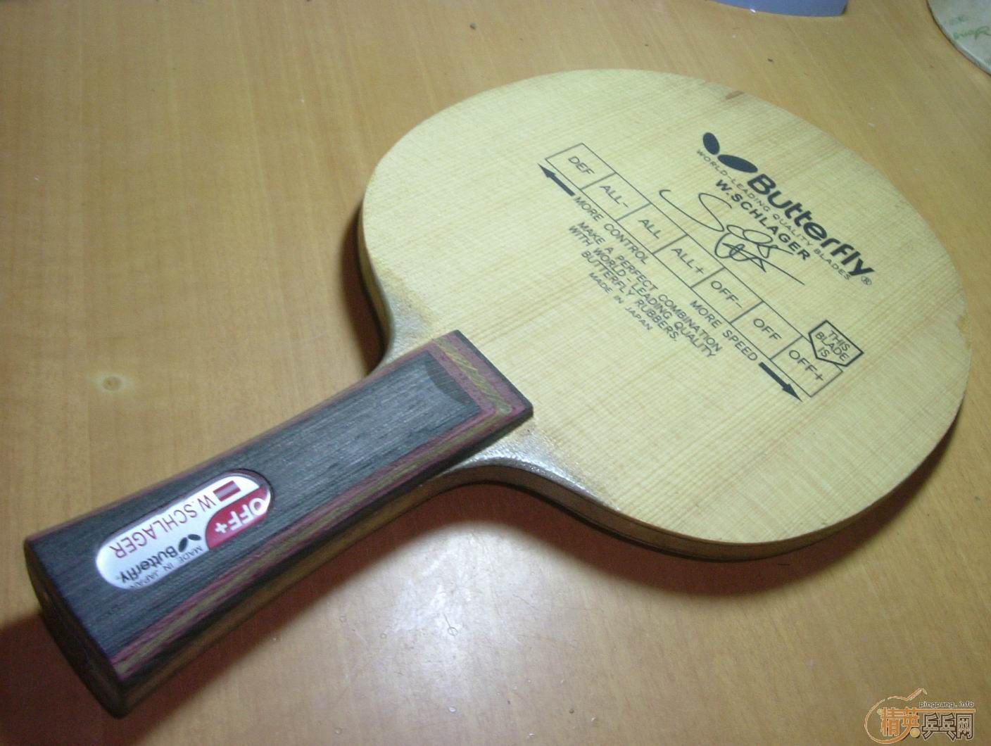 ʩ̼96