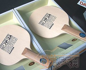 ����������������ָ��