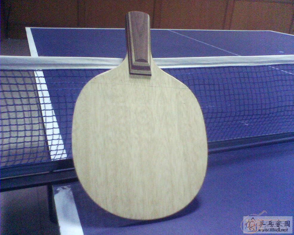 9.5�������Ϻ����Ʊ�������ƹ������