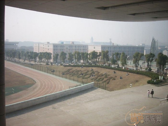 []2006䡱ɳרⱨ