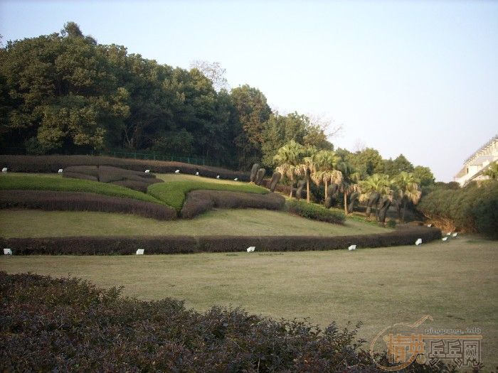 []2006䡱ɳרⱨ