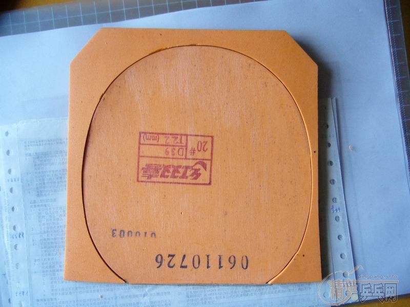 �Ϻ���רҵ��� 100Ԫ����