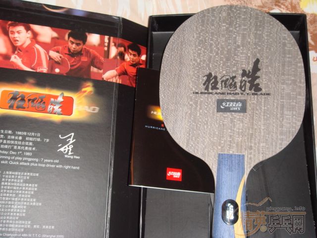 ֻʣ������