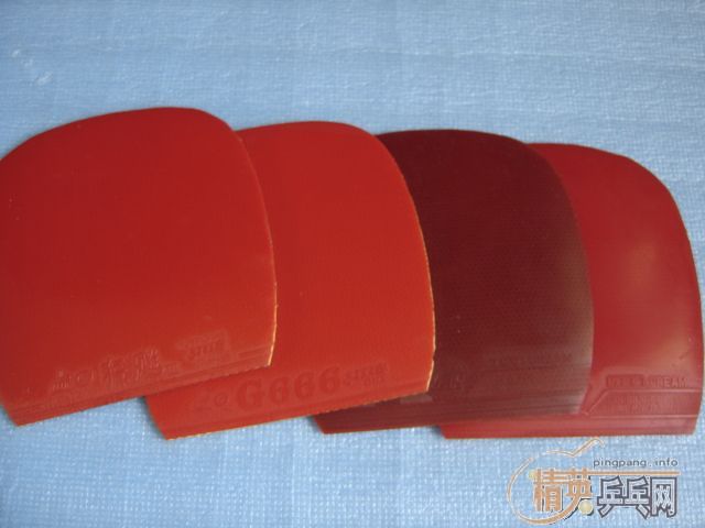 ���ջ��Ǿ������������ֱ!