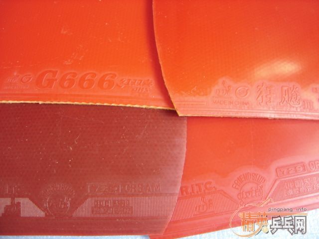 ���ջ��Ǿ������������ֱ!