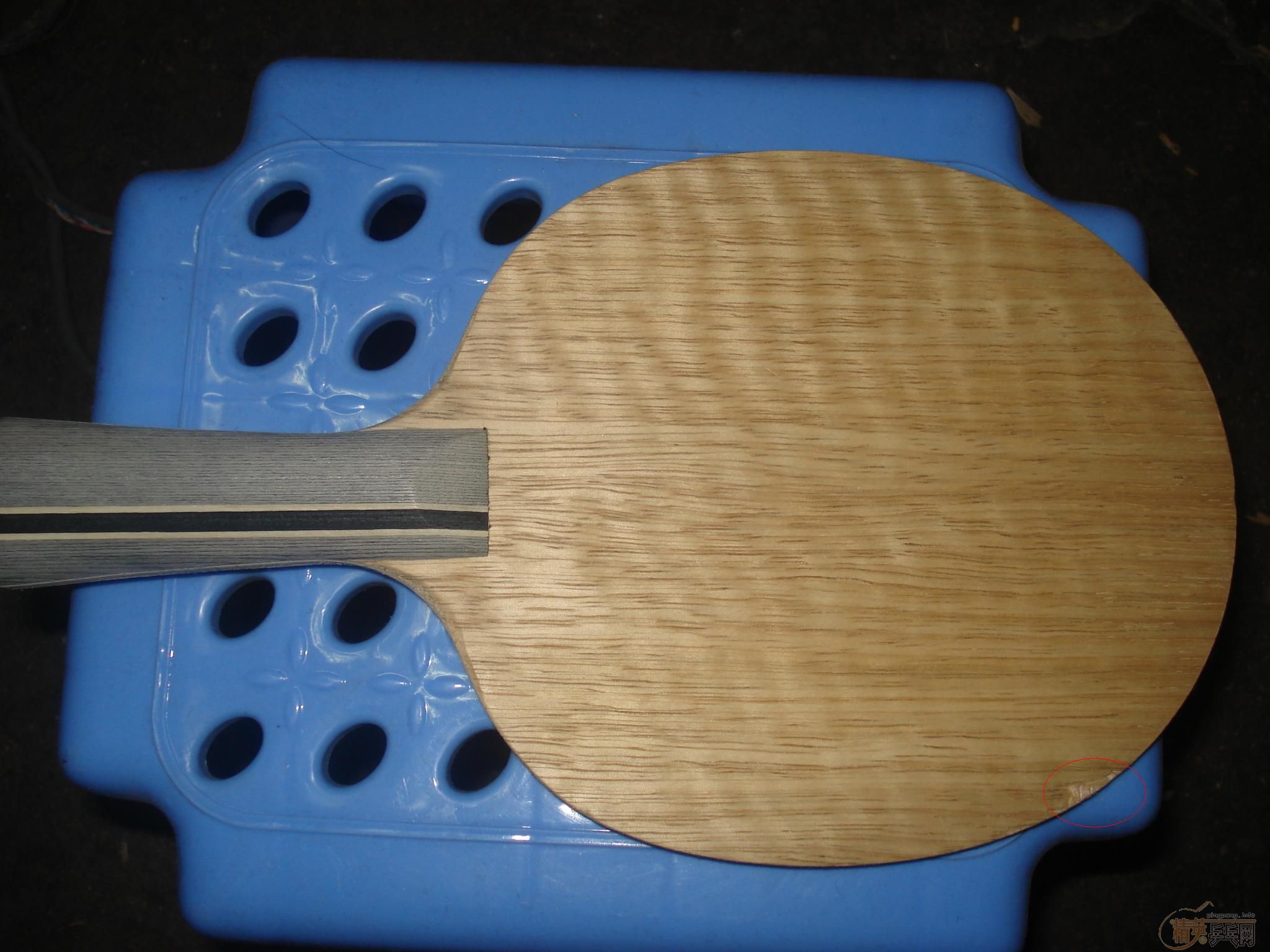 ���۶��ֵװ�(���):�����S1��Ȧ�͵װ�