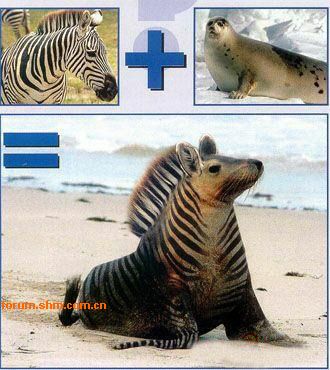 [��ˮ]���˵���Ϣ