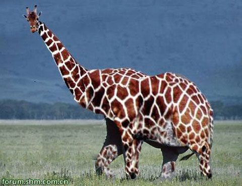 [��ˮ]���˵���Ϣ