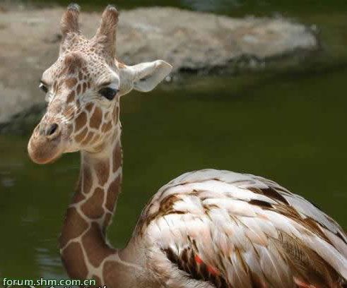 [��ˮ]���˵���Ϣ