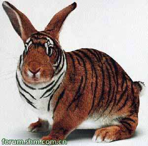 [��ˮ]���˵���Ϣ