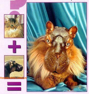 [��ˮ]���˵���Ϣ