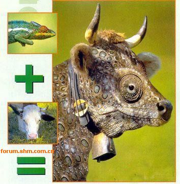 [��ˮ]���˵���Ϣ