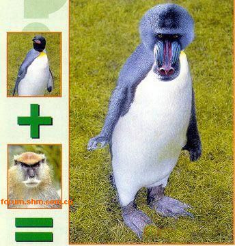 [��ˮ]���˵���Ϣ