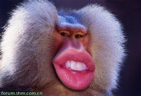 [��ˮ]���˵���Ϣ