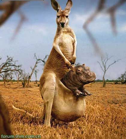 [��ˮ]���˵���Ϣ