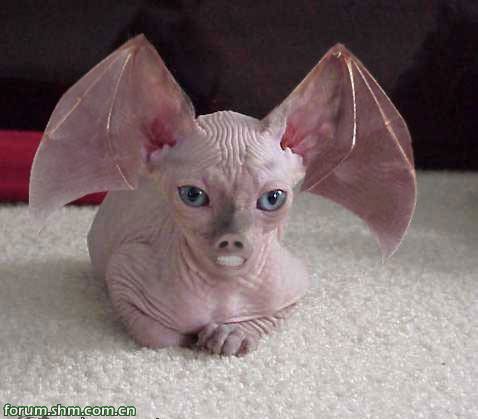 [��ˮ]���˵���Ϣ